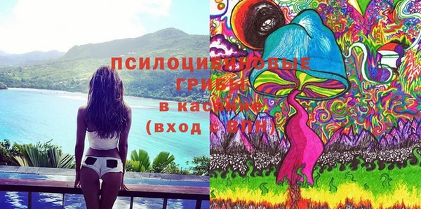 стафф Бронницы