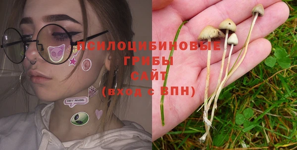 стафф Бронницы