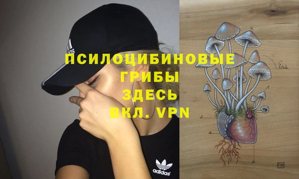 стафф Бронницы
